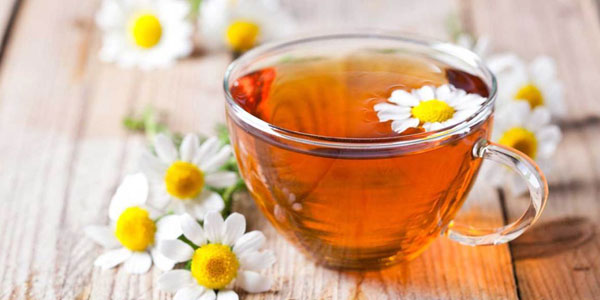 راهنمای خرید چای، انواع چای و بهترین چای به همراه لیست قیمت